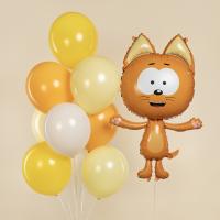 Фонтан из шаров и котик