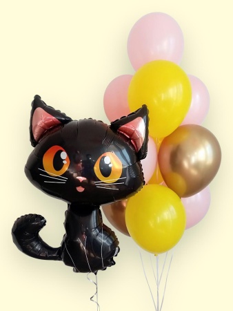 Фигура чёрный котик и фонтан из шаров